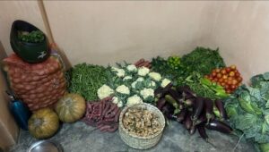 Joydev Kenduli Baul Mela at Golok Ecospace